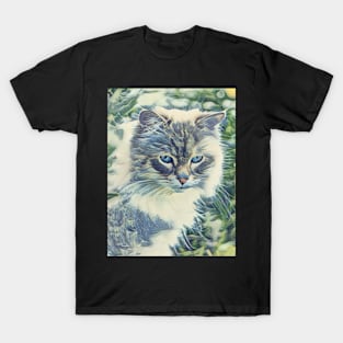 Blue Eyed Kitty T-Shirt